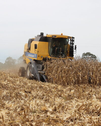 VALE INCENTIVO ATENDE MAIS DE 400 PRODUTORES, EM 2021