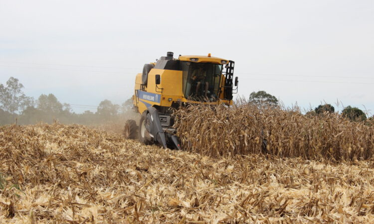 VALE INCENTIVO ATENDE MAIS DE 400 PRODUTORES, EM 2021