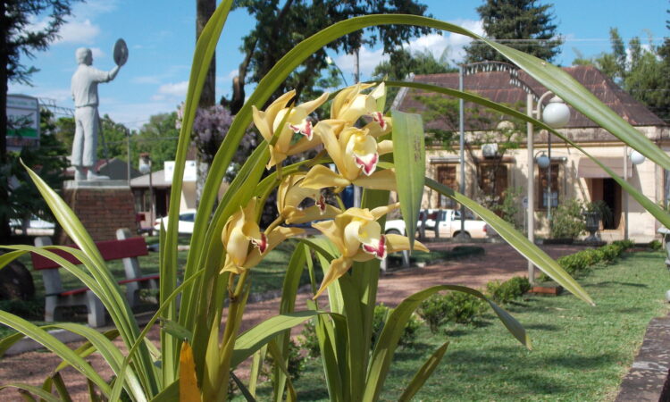 MATO LEITÃO SEDIA EVENTO 60 ANOS DA FEDERAÇÃO GAÚCHA DE ORQUIDÓFILOS
