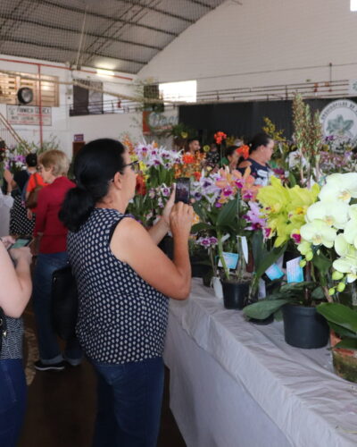 MOSTRA REGIONAL DE ORQUÍDEAS, EM MARÇO, É NOVIDADE PARA 2023