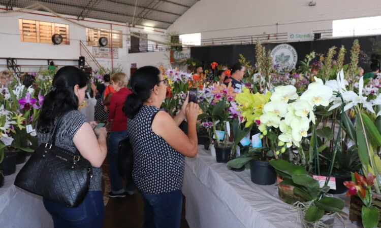 MOSTRA REGIONAL DE ORQUÍDEAS, EM MARÇO, É NOVIDADE PARA 2023