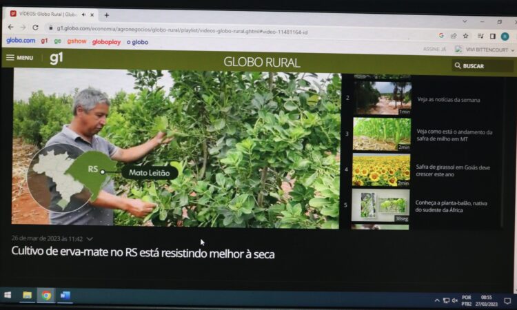 CULTURA DA ERVA-MATE, EM MATO LEITÃO, NO GLOBO RURAL