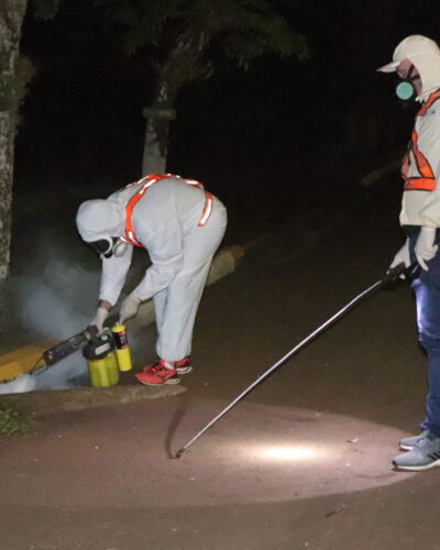 CONTROLE DE BARATAS E MOSQUITO NO PERÍMETRO URBANO