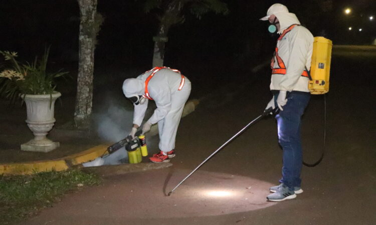 CONTROLE DE BARATAS E MOSQUITO NO PERÍMETRO URBANO