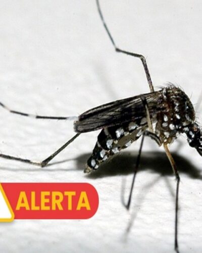 SAÚDE CONFIRMA CASO POSITIVO DE DENGUE ‘IMPORTADO’