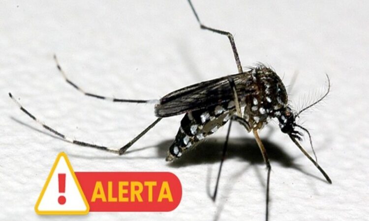 SAÚDE CONFIRMA CASO POSITIVO DE DENGUE ‘IMPORTADO’