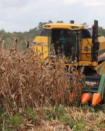 VALE-INCENTIVO REPASSA MAIS DE R$ 229 MIL AOS AGRICULTORES