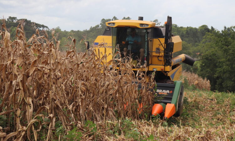 VALE-INCENTIVO REPASSA MAIS DE R$ 229 MIL AOS AGRICULTORES