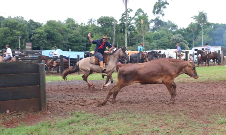 FESTA CAMPEIRA DO QUERÊNCIA DA MATA A PARTIR DA SEXTA-FEIRA