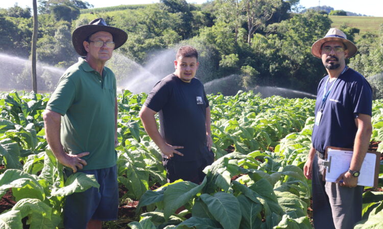 AGRICULTOR INVESTE EM IRRIGAÇÃO NA PRODUÇÃO DE TABACO