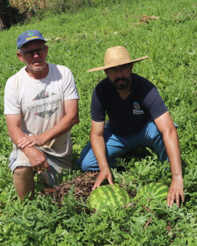 PRODUÇÃO DE MELANCIA NA BOA ESPERANÇA ALTA