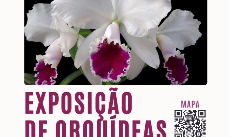 EXPOSIÇÃO DE ORQUÍDEAS NO ANIVERSÁRIO DE MATO LEITÃO