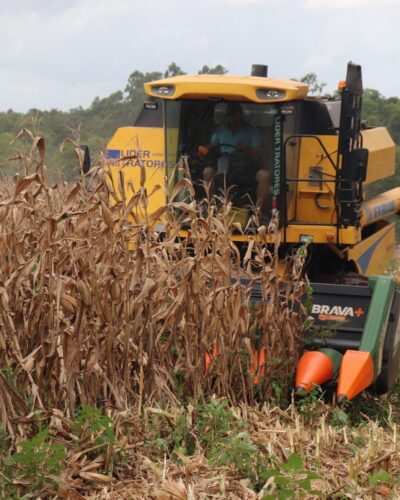QUASE 200 PRODUTORES JÁ RETIRARAM O VALE-INCENTIVO