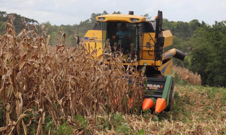 QUASE 200 PRODUTORES JÁ RETIRARAM O VALE-INCENTIVO