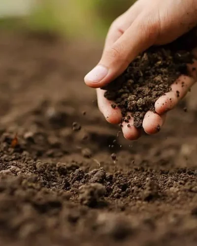 INSCRIÇÕES NO PROGRAMA TERRA FORTE INICIAM AMANHÃ