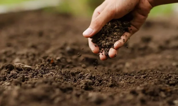INSCRIÇÕES NO PROGRAMA TERRA FORTE INICIAM AMANHÃ