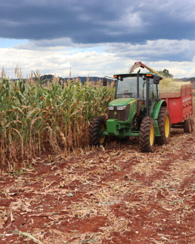 VALE-INCENTIVO BENEFICOU 331 AGRICULTORES