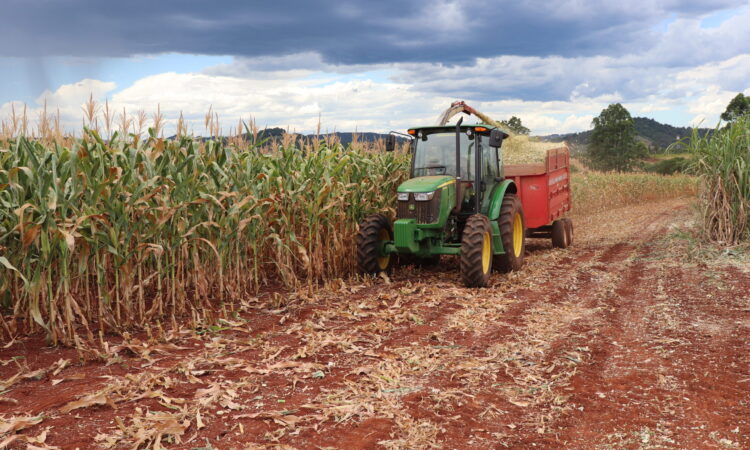 VALE-INCENTIVO BENEFICOU 331 AGRICULTORES