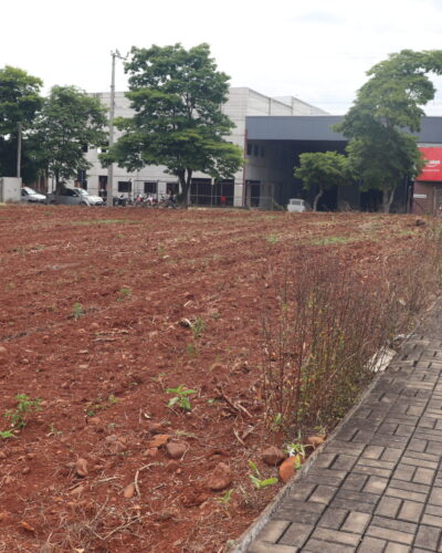 IPTU 2026: PEDIDOS DE ISENÇÃO EM ÁREAS PRODUTIVAS