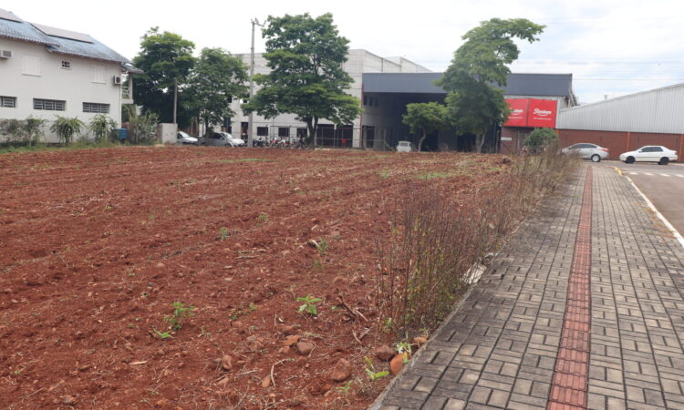 IPTU 2026: PEDIDOS DE ISENÇÃO EM ÁREAS PRODUTIVAS