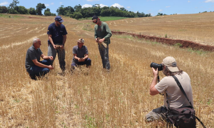 AGRICULTURA DO MUNICÍPIO NA REVISTA GLOBO RURAL