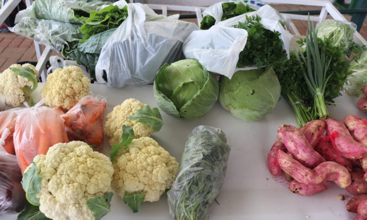 BENEFÍCIO DO VALE-FEIRA APROVADO NA CÂMARA