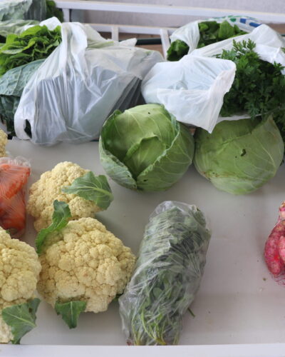 EXECUTIVO PROPÕE VALE-FEIRA AO FUNCIONALISMO MUNICIPAL