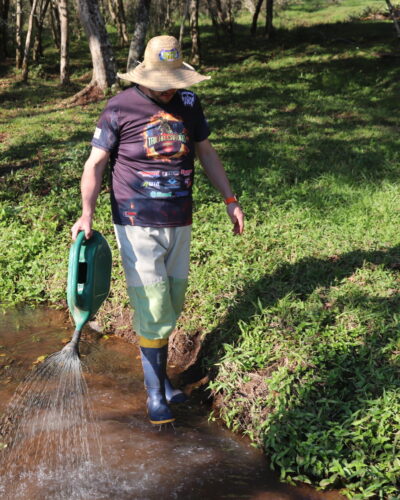 CONTROLE DO MOSQUITO BORRACHUDO