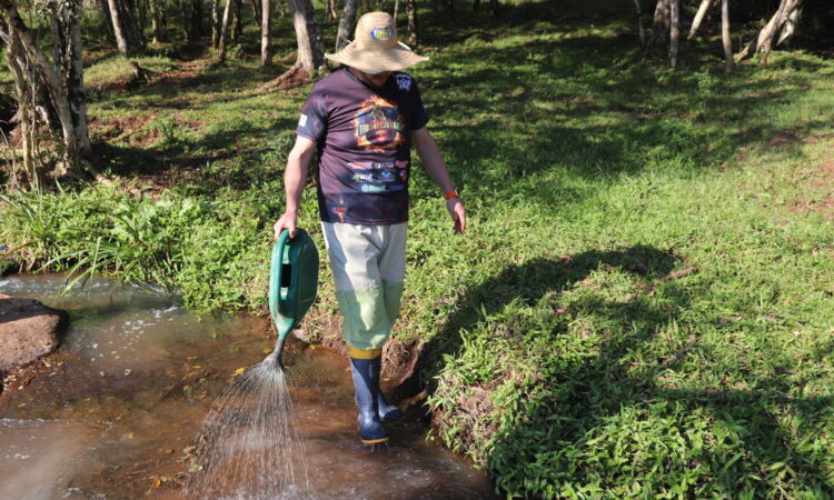 CONTROLE DO MOSQUITO BORRACHUDO