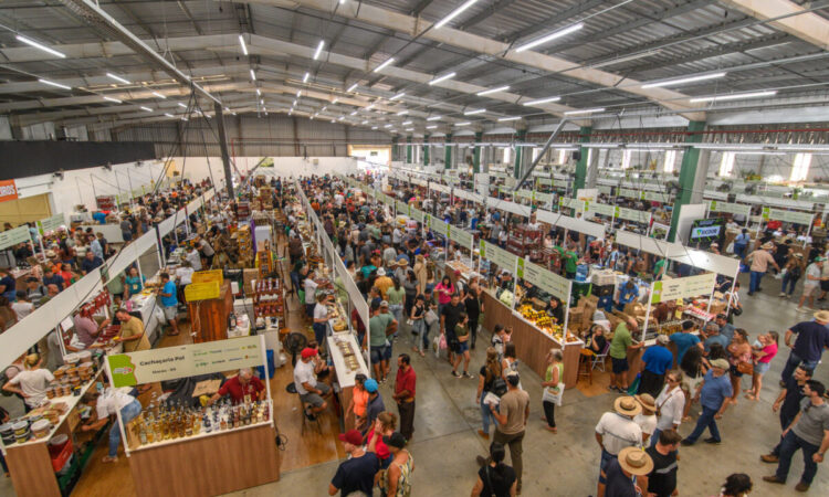 MATO LEITÃO NA EXPOAGRO AFUBRA