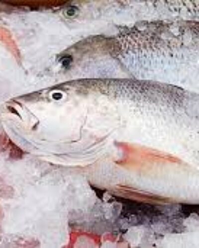 FEIRA DO PEIXE NA QUARTA E QUINTA-FEIRA