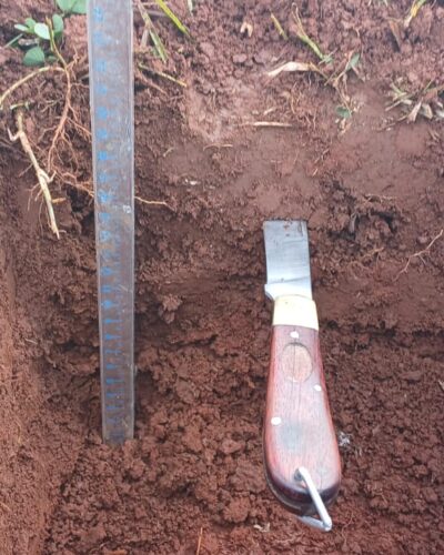 EMATER TRABALHA NA PRIMEIRA ETAPA DO TERRA FORTE