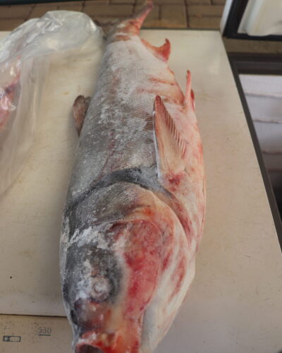 FEIRA DE PEIXE ATÉ ÀS 17H30MIN