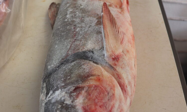 FEIRA DE PEIXE ATÉ ÀS 17H30MIN