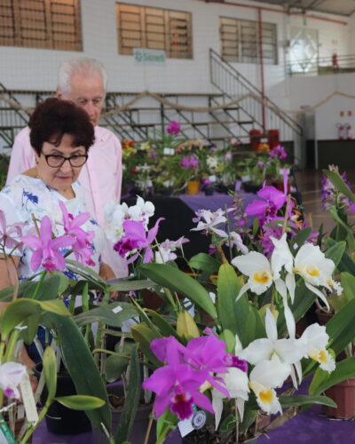 EXPOSIÇÃO DE ORQUÍDEAS NO GINÁSIO DA ESCOLA IRENO BOHN