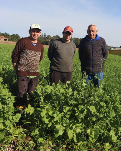 MELHORAR FERTILIDADE DO SOLO COM APOIO DA PREFEITURA