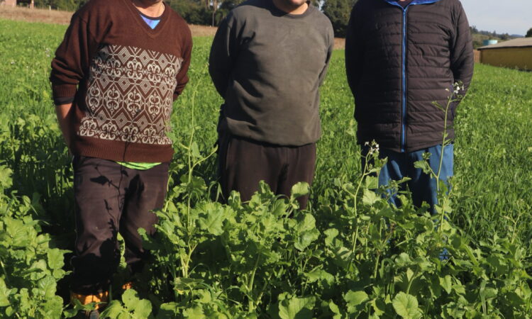 MELHORAR FERTILIDADE DO SOLO COM APOIO DA PREFEITURA