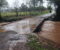 LICITAÇÃO PARA CONSTRUÇÃO DA NOVA PONTE DUQUE DE CAXIAS