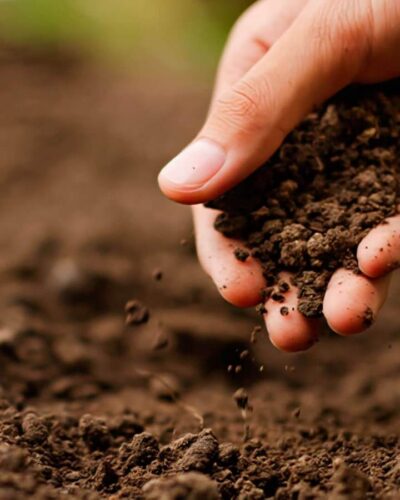 CONSERVAÇÃO DO SOLO E ÁGUA TEMA DE ‘TARDE DE CAMPO’