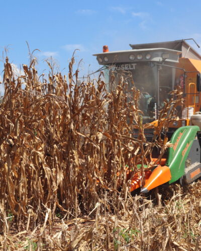 MAIS DE 100 AGRICULTORES AINDA NÃO RETIRARAM O VALE-INCENTIVO