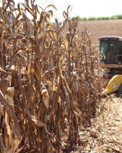 VALE-INCENTIVO BENEFICIA 320 AGRICULTORES