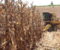 VALE-INCENTIVO BENEFICIA 320 AGRICULTORES
