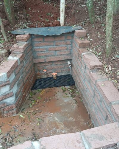 NASCENTE PROTEGIDA. MAIS UM PROJETO NO PARQUE MUNICIPAL