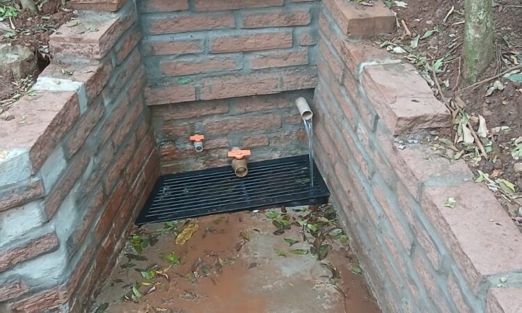NASCENTE PROTEGIDA. MAIS UM PROJETO NO PARQUE MUNICIPAL